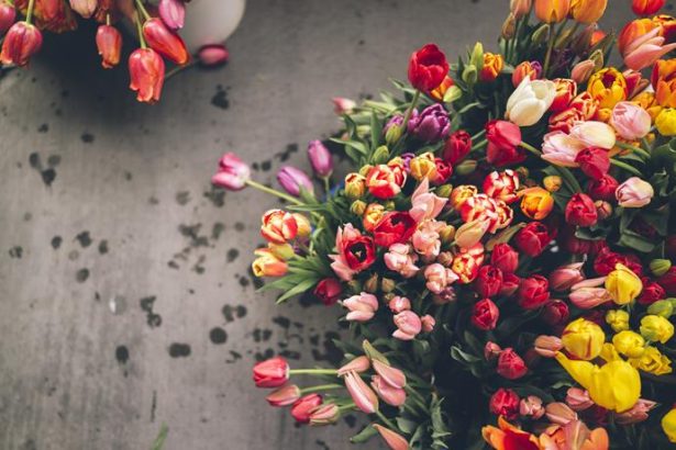 interior design blogs interior design trends for 2016 monthly clubs (Copy)
